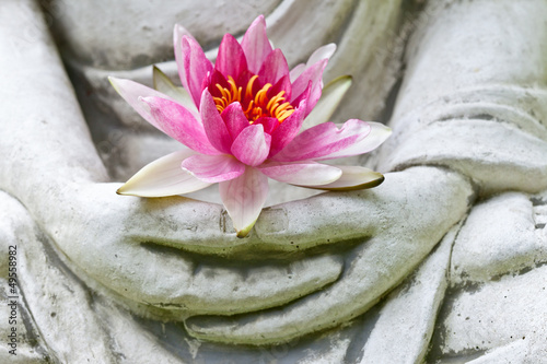 Naklejka dekoracyjna Buddha hands holding flower, close up