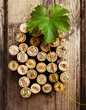Dated wine bottle corks on the wooden background 