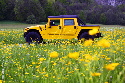 Naklejka dekoracyjna Hummer in Blumenwiese