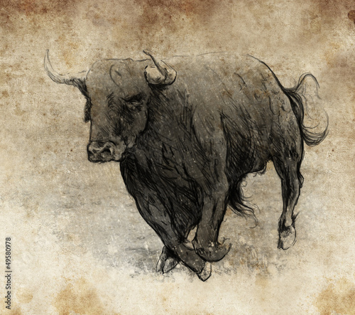 Fototapeta na wymiar Sketch made with digital tablet, bull running