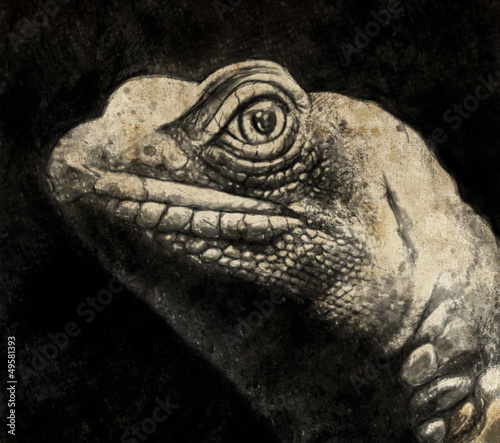 Naklejka dekoracyjna Sketch made with digital tablet of lizard head in sepia