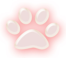 Pink Pet Paw