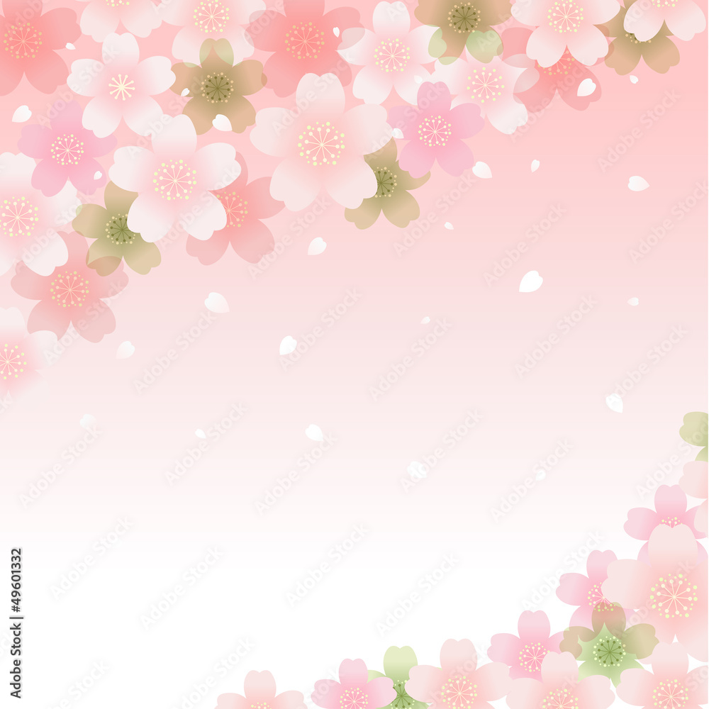 桜 サクラ 花びら 花吹雪 背景 バックグラウンド イラスト Spring Cherry blossom background Stock ...