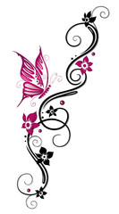 Fototapete - Ranke, flora, Blüten, Schmetterlinge, schwarz, pink