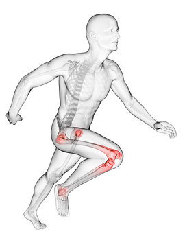 3d rendered illustration - runners joints