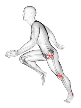 3d rendered illustration - runners joints
