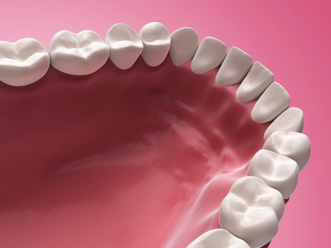 3d rendered illustration - lower teeth
