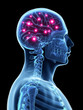 © Sebastian Kaulitzki - 3d rendered illustration - active brain