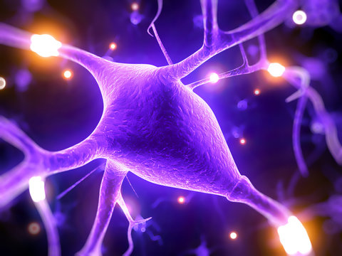 3d rendered illustration - nerve cell
