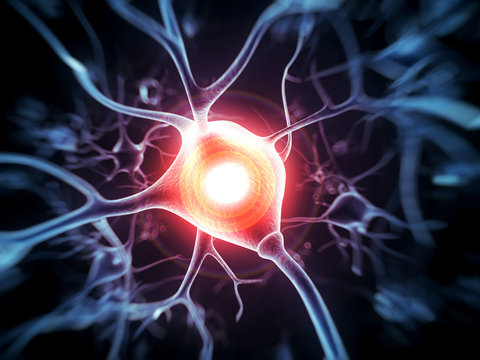 3d rendered illustration - nerve cell