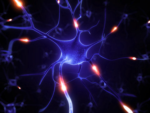 3d rendered illustration - nerve cell