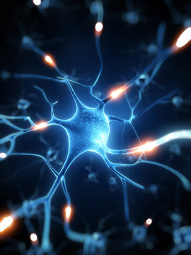 3d rendered illustration - nerve cell