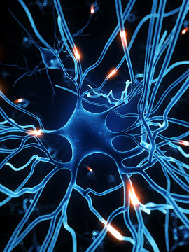 3d rendered illustration - nerve cell