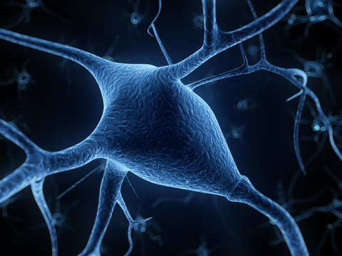3d rendered illustration - nerve cell