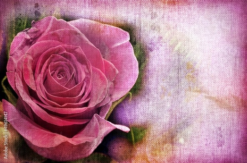 Naklejka dekoracyjna Pink Roses. Vintage Styled.