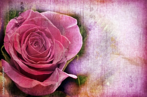 Naklejka ścienna Pink Roses. Vintage Styled.