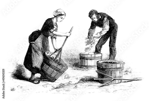 Fotografía Destemming Grapes - Egrapper le Raisin - 19th century