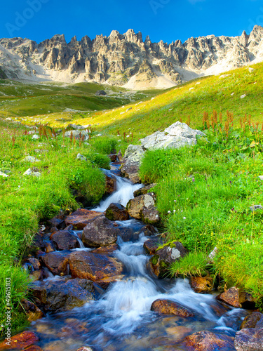 Plakat na zamówienie River and grass. Composition of the nature