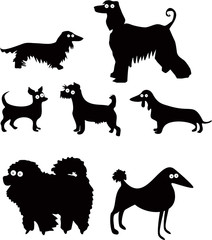 Wall Mural - Set of funny dogs