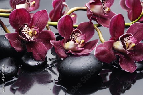 Naklejka - mata magnetyczna na lodówkę branch red orchid with therapy stones