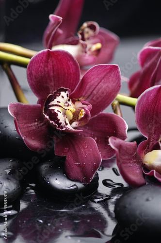Fototapeta do kuchni set of branch gorgeous red orchid on stones reflection