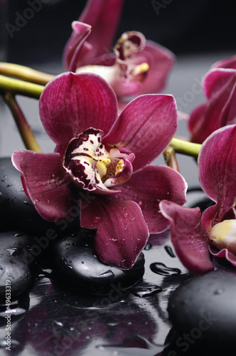 Foto-Doppelrollo - set of branch gorgeous red orchid on stones reflection (von Mee Ting)