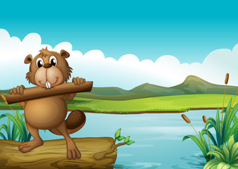 Poster - A beaver above a floating trunk holding a piece of wood