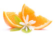 Fresh oranges with orange blossom