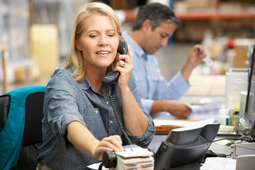 Wall Mural - Businesswoman Working At Desk In Warehouse