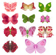 Rose butterfly collection