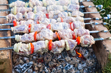 Appetizing fresh meat shish kebab (shashlik) prepared on a grill