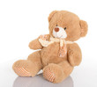 Classic teddy bear with scarf on white background