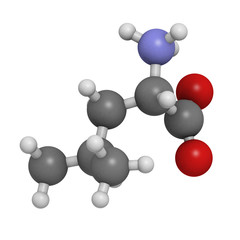 Poster - Leucine (Leu, L) amino acid, molecular model.