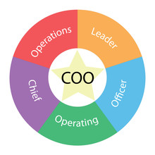COO Circular Concept With Colors And Star