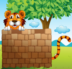 Poster - A  tiger hiding on a pile of bricks