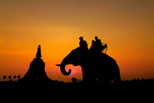Silhouette Of Elephants In Ayutthaya Thailand.