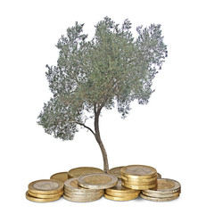 Olive tree growing from pile of coins