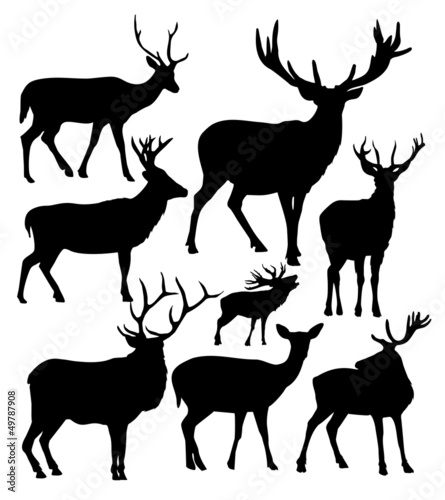 Naklejka - mata magnetyczna na lodówkę deer vector silhouettes