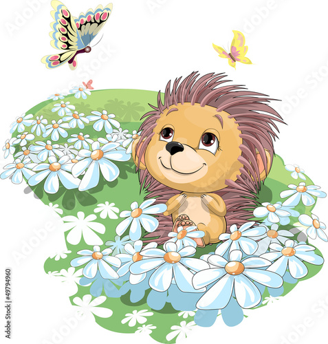 Plakat na zamówienie the hedgehog and the butterfly