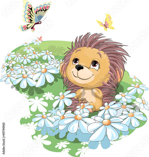 Fototapeta na wymiar the hedgehog and the butterfly