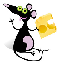 Mouse With Piece Of Cheese