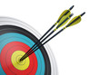 Leinwandbild Motiv .Arrows hitting the center of target - success business concept