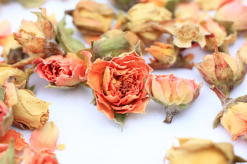 Sticker - Beautiful dry roses