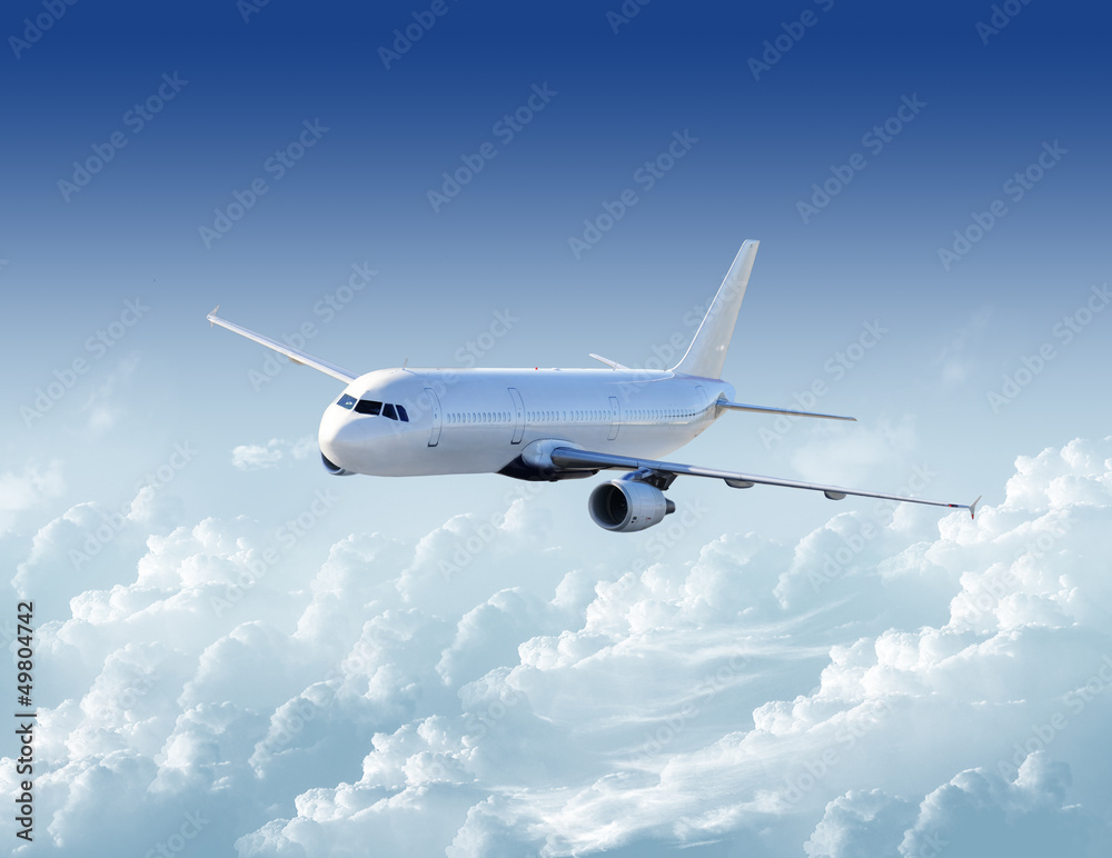 Airplane in the sky - obrazy, fototapety, plakaty 