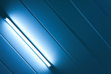 Blue Light Fluorescent Of Lamp