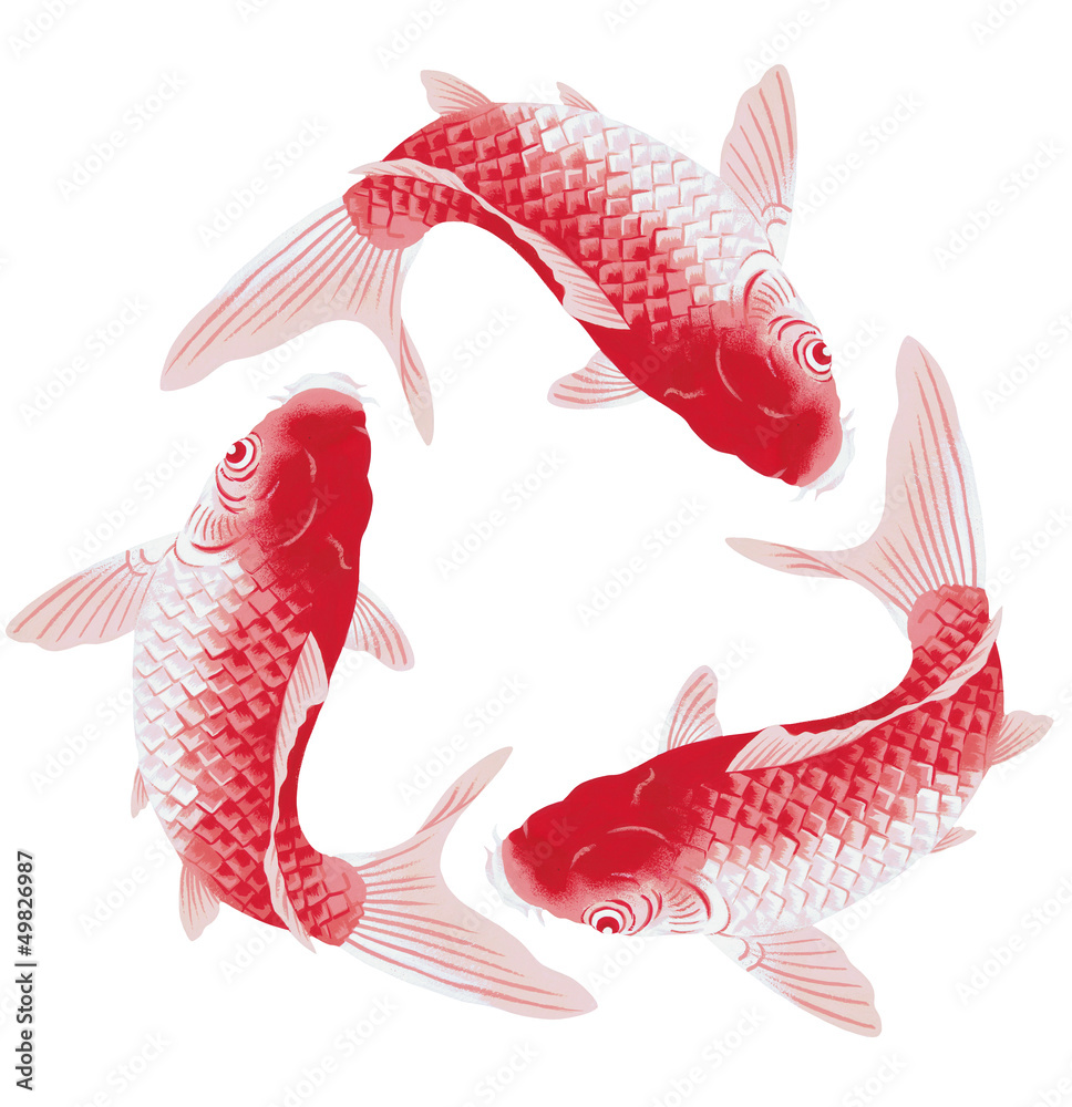日本画調の鯉 の Stock イラスト | Adobe Stock