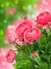 Sticker - beautiful pink flowers over blurred background