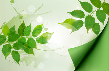 Poster - Nature background with green spring leaves. Vector illustration.