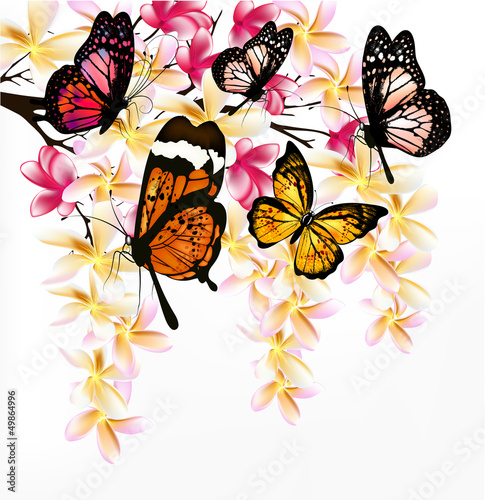 kolorowy-wektorowy-tlo-z-realistycznymi-tropikalnymi-motylami-a