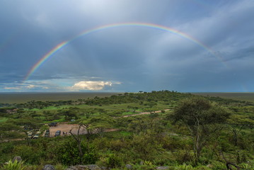  Serengeti rainbow
